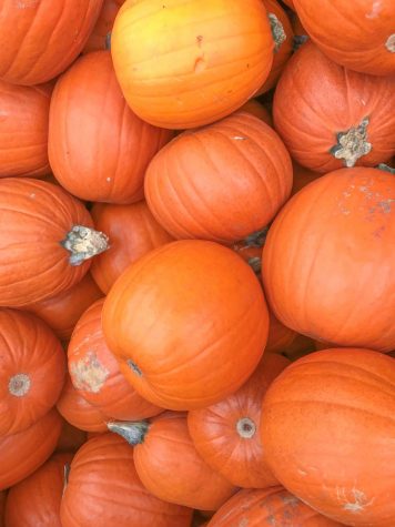 What to do with Pumpkins After Halloween