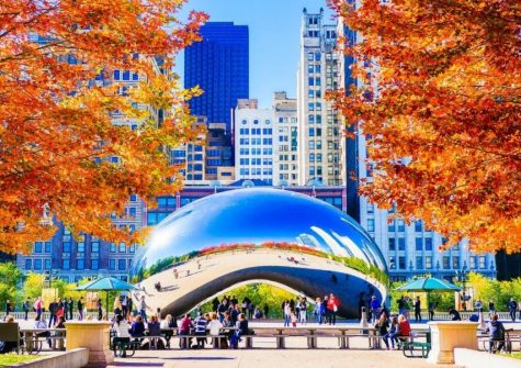 Chicago During the Fall; What You Can Do!