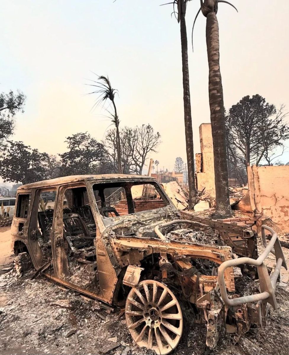 What Might Have Caused LA's Devastating Fires?